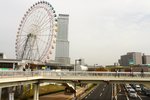 20101113_03143