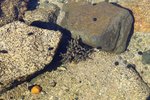 20110406_28203
