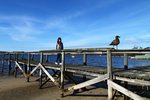 20110406_28304