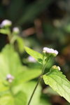 IMG_1569