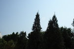 IMG_1581