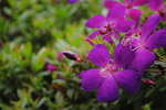 IMG_1901