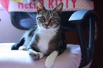 IMG_6594
