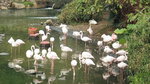 IMG_0965
