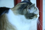 IMG_0567