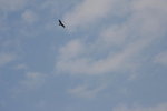 IMG_0064
