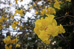 IMG_4395