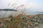 PA050131