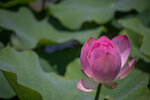 IMG_5276