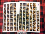 film index MY