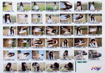 Film Index2