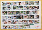 Film Index4