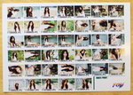 Film Index6