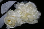 IMGP9676