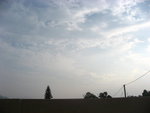 IMG_3296