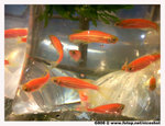 相片023 copy