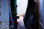 DSCF8405b