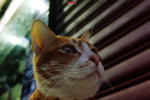 DSCF8612b