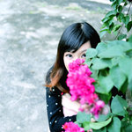 HIN_8774a1