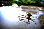 HIN_7065b