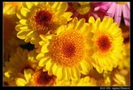 IMG_4026