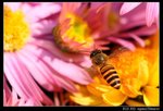 IMG_4098