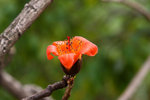 IMG_5806