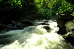 IMG_1905
