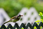 IMG_9891
