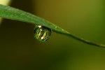 IMG_0578