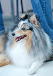 DSC_1503