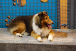 DSC_10372007-06-18