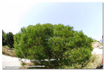 abds2_668828