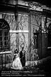 IMG_8511