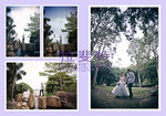 Album_1617