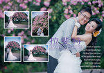 Album_2223