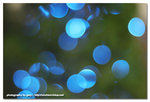 DS2_418271bs