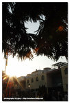 DS2_4629109de