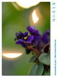 DS4_3751