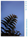 DS4_3985