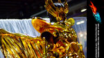 DSCF0782