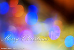 DSCF0556