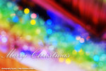 DSCF0558
