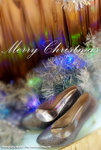 DSCF0561
