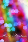 DSCF0563