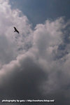 R0014662