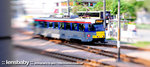 D32_5917