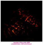 DS4_6019