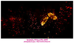 DS4_6088