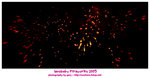 DS4_6089